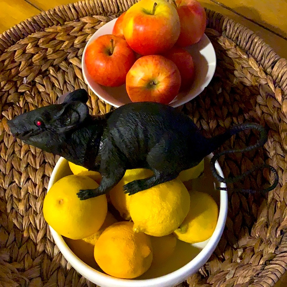 3” black rat Halloween prop realistic haunted house decoration squeaky new toy